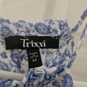 Trixxi Blue and White Patterned Dress